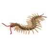 COLLECTA Insect Figure Centipede 88885