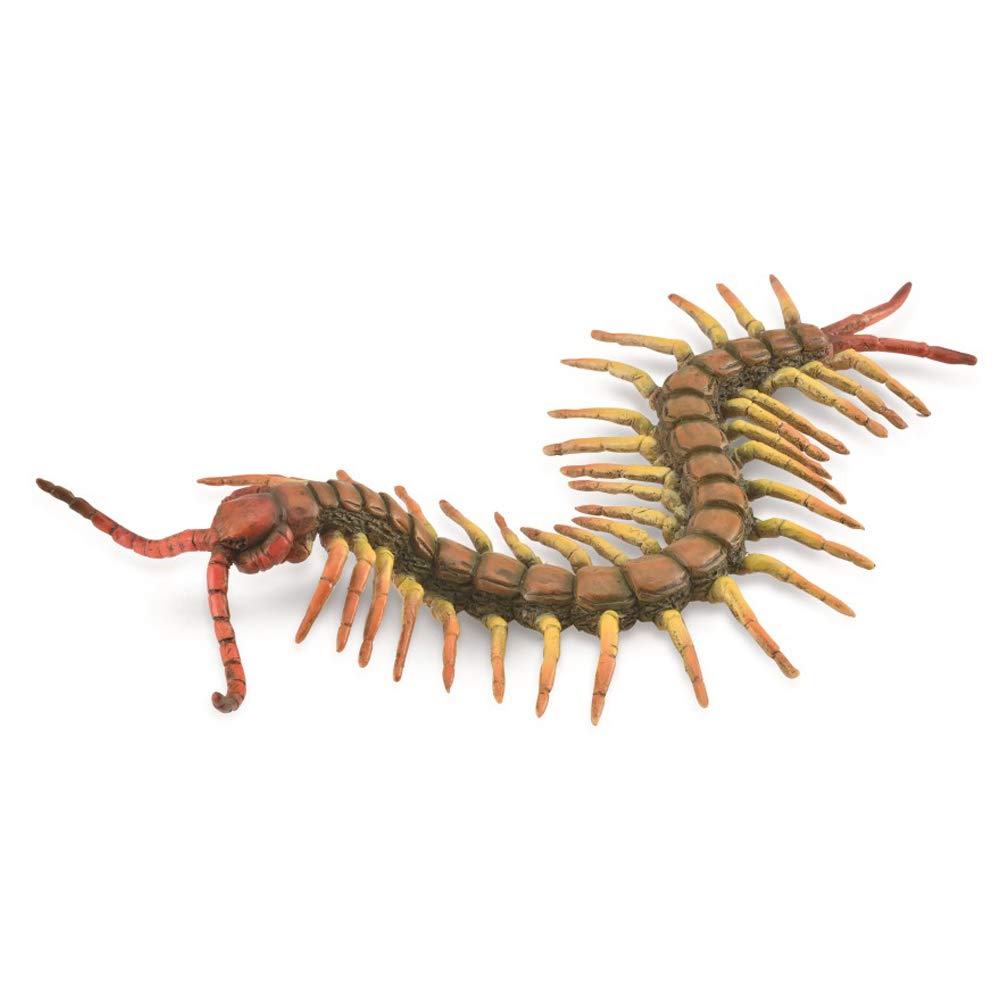 

COLLECTA Insect Figure Centipede 88885