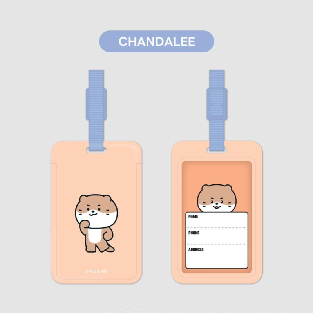 Etichetă nume MINITEEN, Produse SEVENTEEN, KPOP, Oficial, Original, Autentic