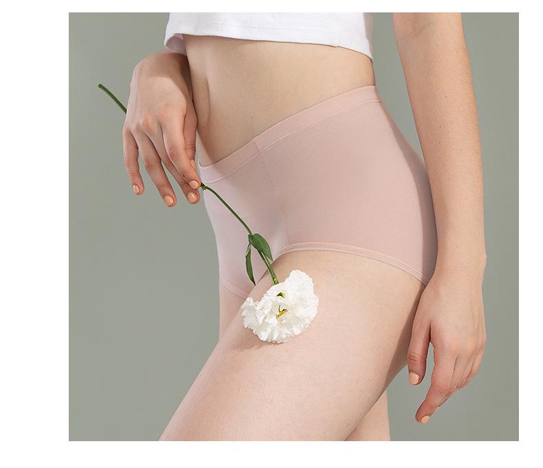 Women's Mid-High Waist Modal Cotton Triangle Panties - Comfortable, Breathable Underwear for Autumn/Winter