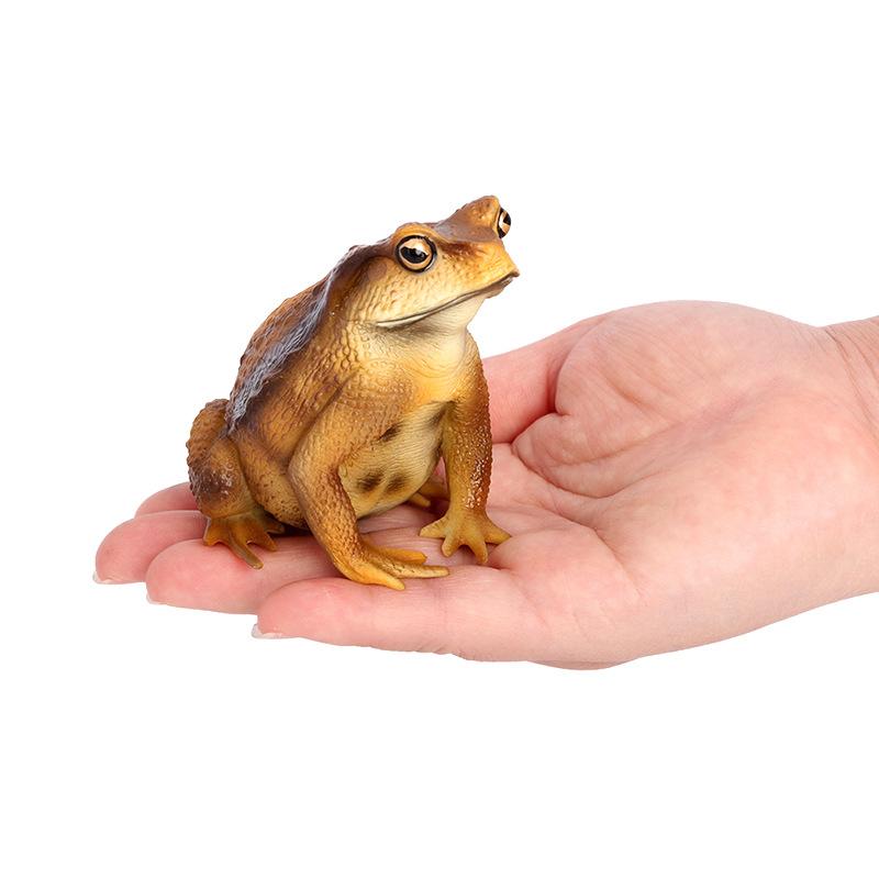 1Pcs Hand Painted Amphibious Animal Figurine Educational Realistic Toad Frog Figure Rubber Animal Model Toy For Kids