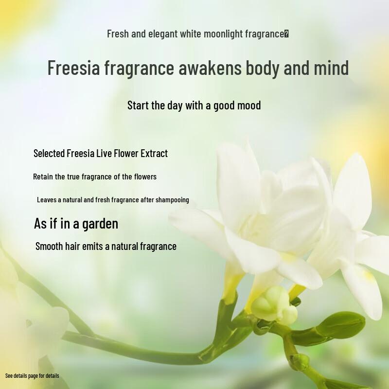 Lafang Freesia Scent Anti-Dandruff Smoothing Shampoo Twin Pack