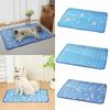 Ice Silk Summer Cooling Pad Cute Cartoon Pattern Cat Dog Sleeping Mat New Pet Cooling Mat  Summer
