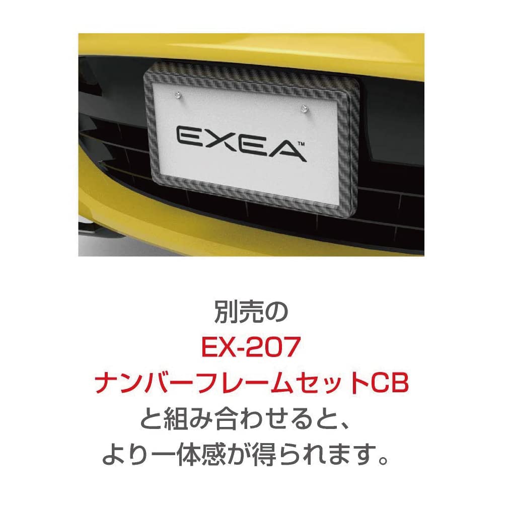 Seiko Sangyo EXEA Carbon Number Plate Exterior Frame, Parts, EX-206
