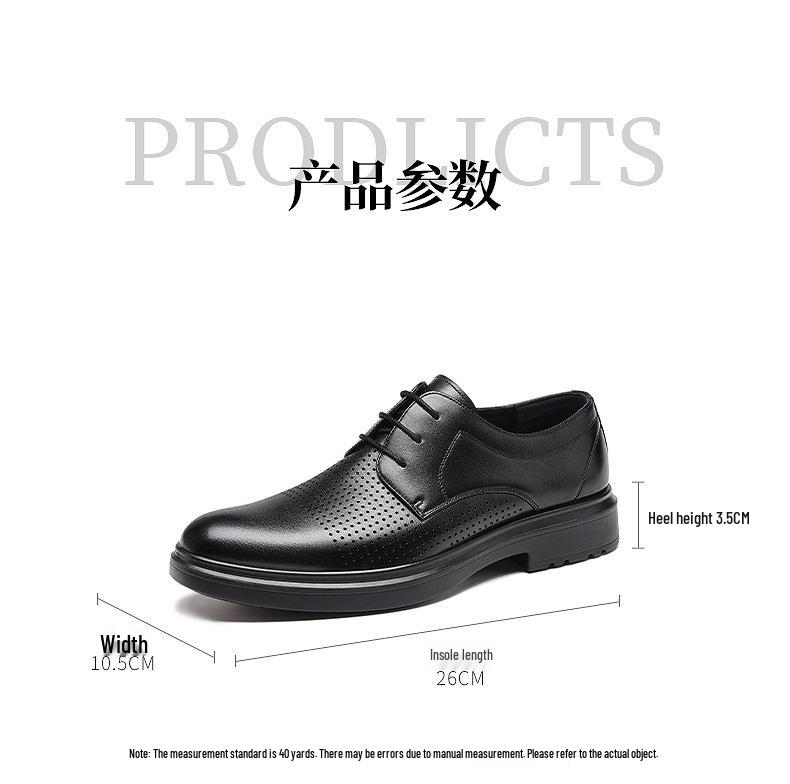 Red Dragonfly Men's Breathable Leather Formal Casual Summer Shoes