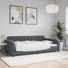Vidaxl Sofa With Sleeping Function, Dark Gray, 100X200 Cm, Velvet