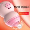 Masturbator, weiche Zunge, Cunnilingus, hygienische Dual-Frequenz-Vibration, fröhliches Schwein, G-Punkt-Masturbation, Sauger-Vibrator für Vagina