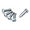 Carmate Car License Plate Security Bolt 2 LS421