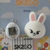 Herní konzole – Tamagotchi