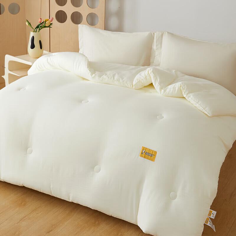 Snoopy Soft Winter Comforter