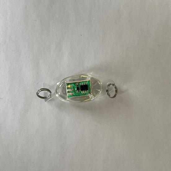 MUQZI Sports Accessory Attractive LED Fish Lamp Sturdy Accessories Convenient To Carry