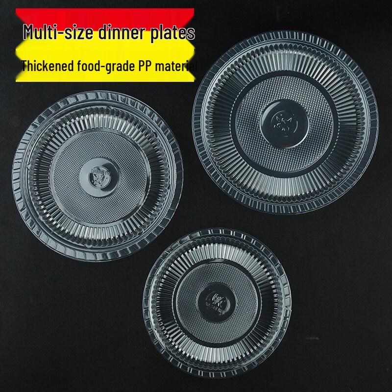 ZISIZ Disposable Plastic Plates