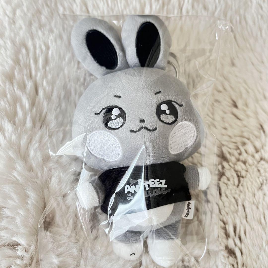 

[Б/У] ANITEEZ Донбёли ЗВОНИТ Плюшевый брелок Сонхва Торговая карточка