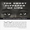 Le Papier Collant Sucré de la Vie par Langston Hughes Livre de Poche 9780999843819