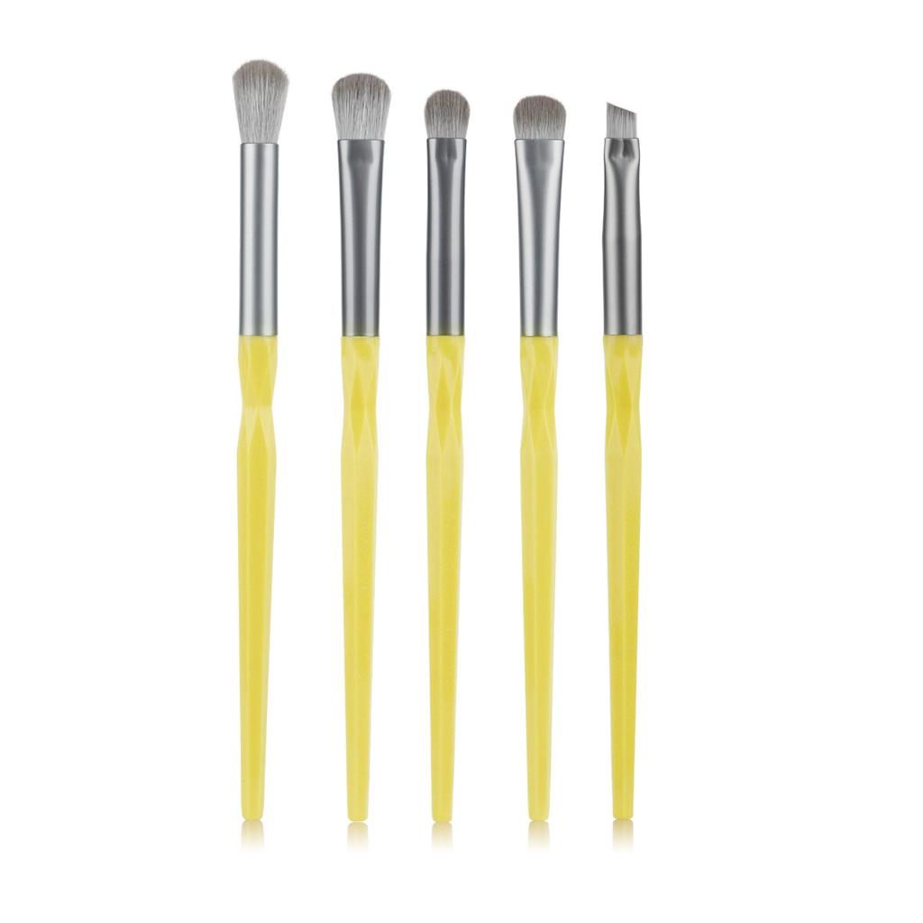 Convenient 5 Eye Makeup Brush Set, Eyeshadow Brush, Eyeliner Brush, Smudge Brush, Concealer Brush, Eyebrow Brush.