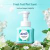 Blue Moon Fresh Fruit Mint Foaming Hand Wash