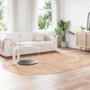 VidaXL Shaggy Rug with Long Pile Beige 300x200 Cm Polyester, Rug, Bedroom Rug, Modern Rug, Living Room Rug, Rug 4102933
