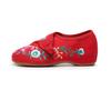 Women's Spring & Autumn Canvas Flats with Morning Glory Embroidery