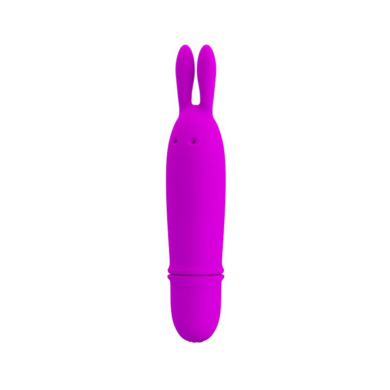 Boyce Mini Vibrator Purple Color