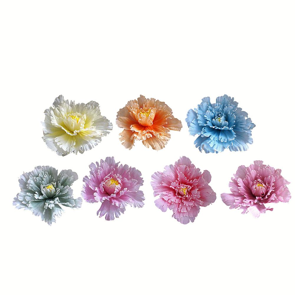 Peony Flower Flower Head Diameter Space Image Website