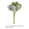 Planta simulată Eco-friendly Niciunul Udată Culori vibrante Durabil Flori decorative Scrapbooking Home Decor Ornament de petrecere