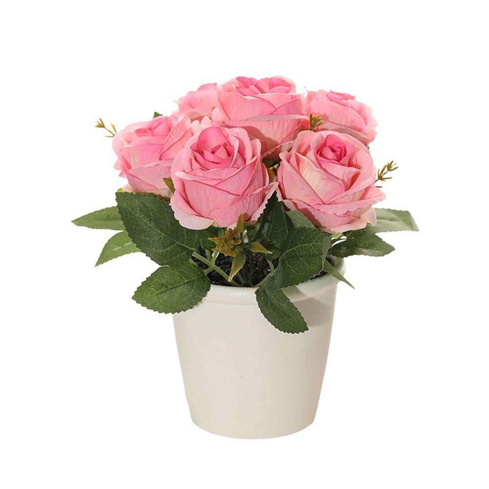 Exquisite Rose Flower Freshing House Plant Natural Potted