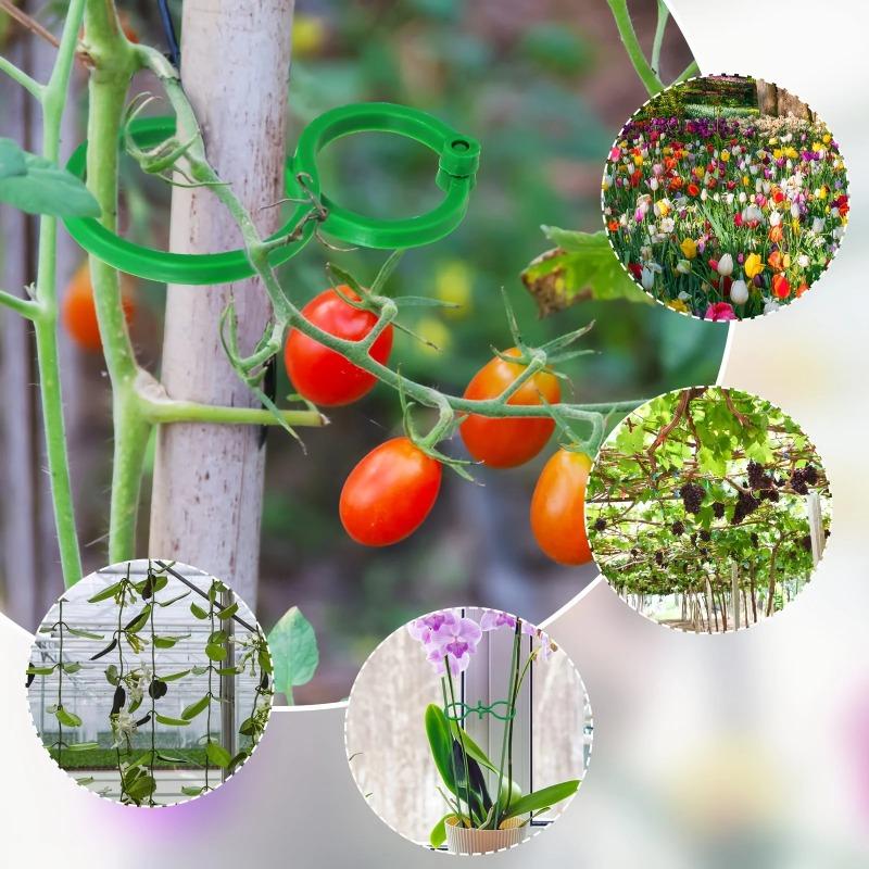 5-50PCS Plant Clips for Climbing Plants, Horticultural Clips for Tomato Plants, Vegetable Clips for Supporting and Fixing Plants