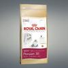 Aliment Sec - ROYAL CANIN - Persian Adult - 400g - Pour Chat Adulte - Croquettes Équilibrées