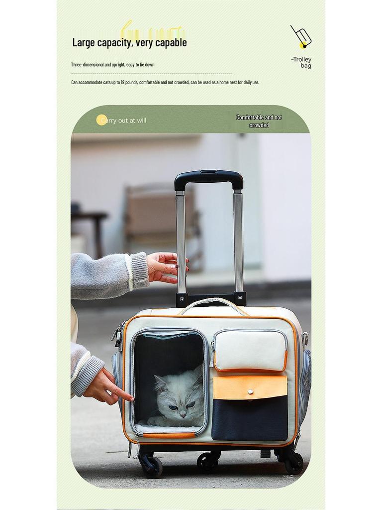 Portable Cat & Small Dog Travel Backpack: Outdoor Folding Pet Trolley Case