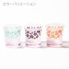 Kobo Official Direct Sculpture Dream Pattern Cherry Blossom Old Glass Paper Box Made in Japan [Taimuro Sales] TB4316-3