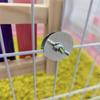 Chicken Coop's Harp Chicken Xylophone Toy Hen Xylophone Toy Henhouse Dog Toy Henhouse