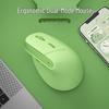 Periferice pentru calculatoare – Mouse-uri