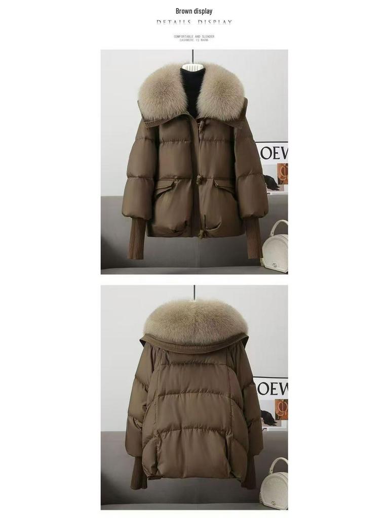 Women's Short Down Jacket: New Style Winter Cotton-Padded Coat with Large Fur Collar, High-End Design.