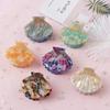 1PC Shell Shape Hair Clips Acetate Barrette Beauty Crab Hairgrip Headwear Acrylic Beach Hairpins Hair Claws Styling Accessories