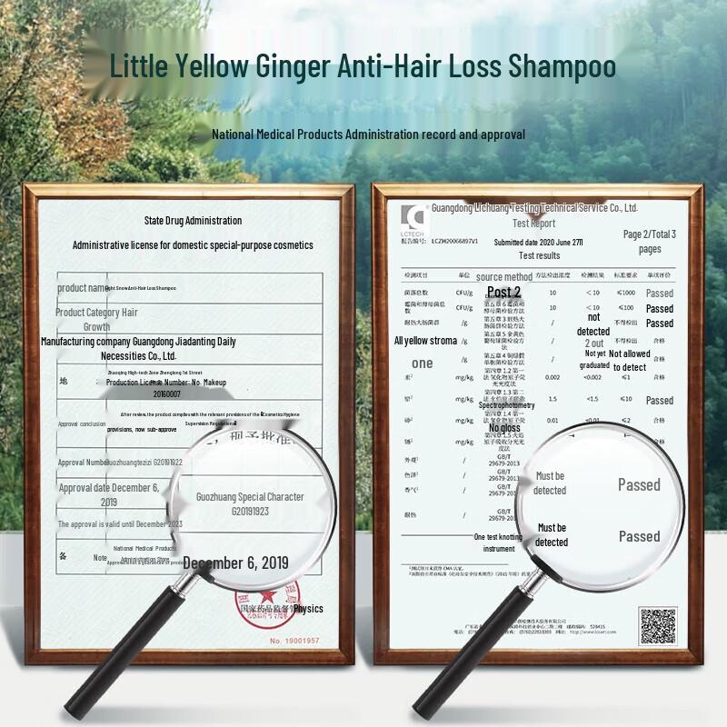 Accen Yunnan Ginger Blackening & Strengthening Herbal Shampoo