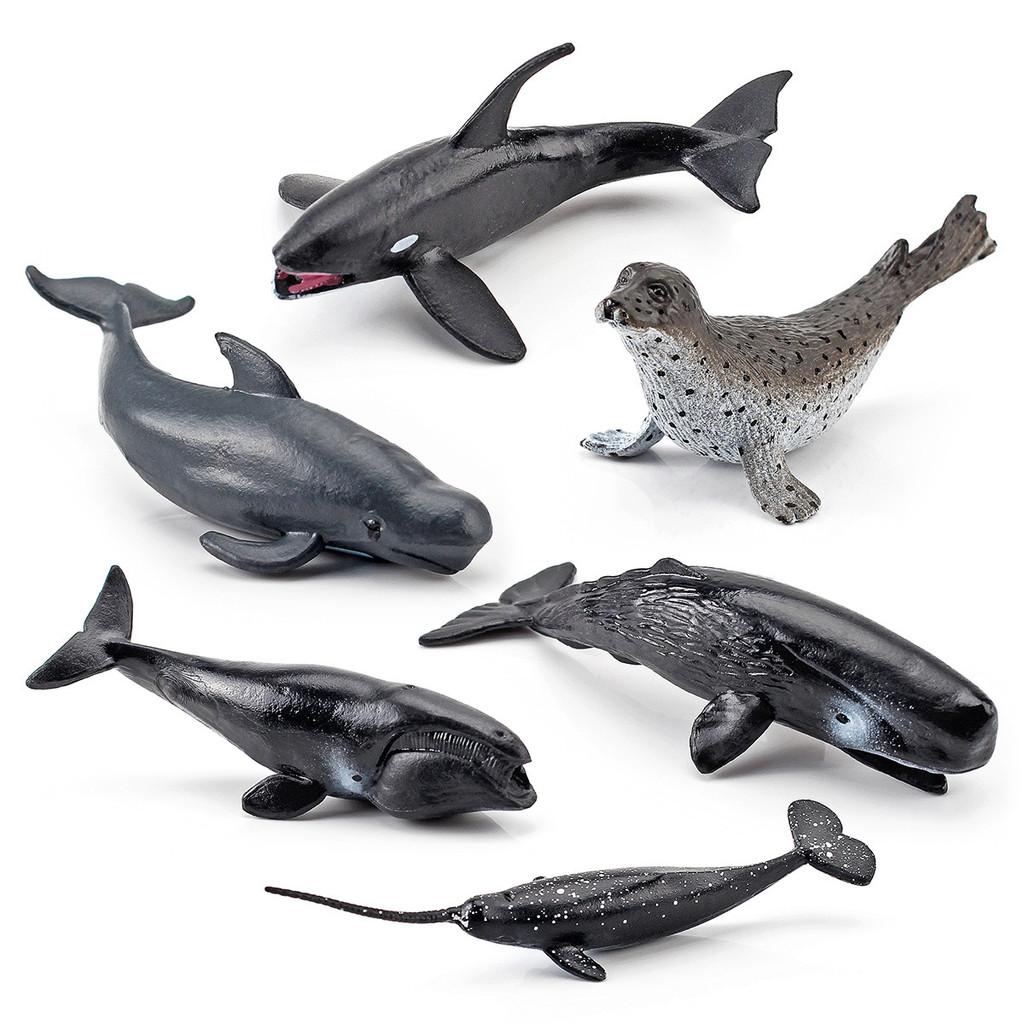 Oceanic Creature Pvc Figurines Collection With Static Marine Animals For Aquarium Decor