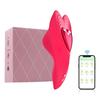 Mini Bullet Remote Control Wearable Panty Vibrator Dual Stimulation Clitoral G-spot Stimulation Massager Female Adult Sex Toy Portable Masturbator New