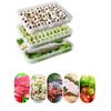 Food Dumpling Refrigerator Storage Box Plastic Container Kitchen Storage Case