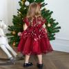 Girls Princess Embroidery Baby Flower Wedding Christmas Party Tutu Dress Teenager Children Kids Elegant Dress