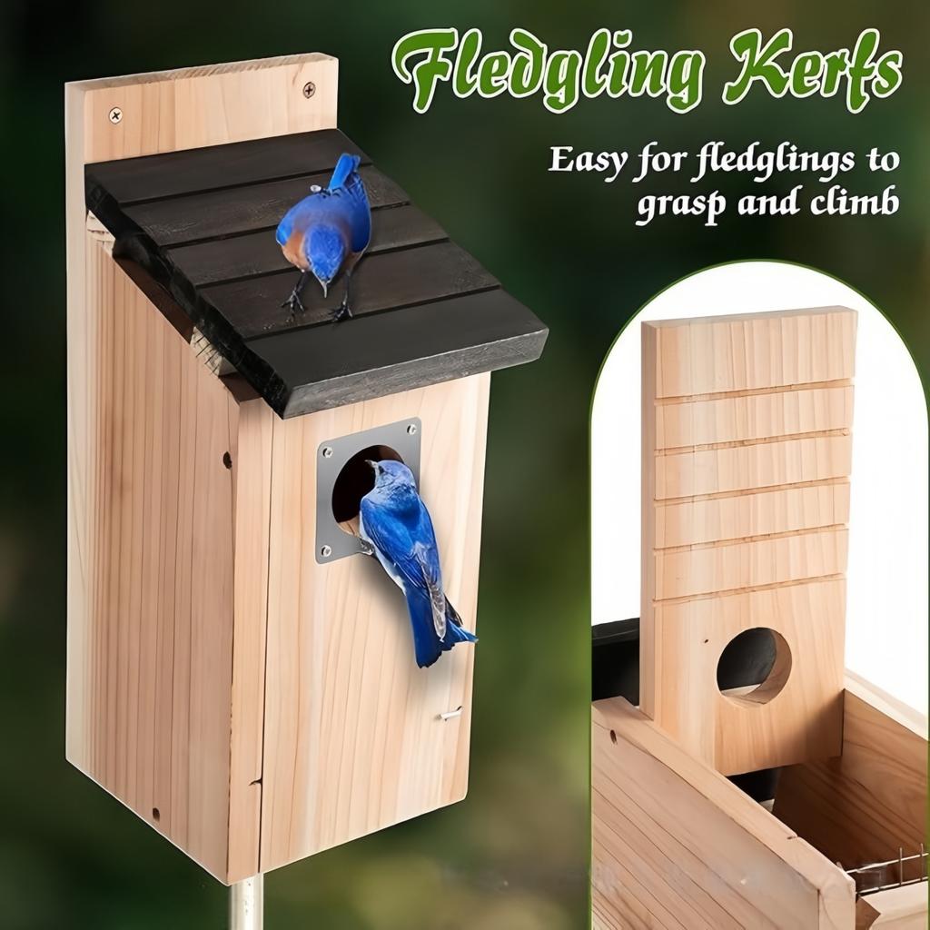 Bird Houses for Outside Cedar Bird House Outdoor, Bluebird Finch Swallow Wren Chickadee Assembly Required