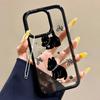 Acrylic Phone Case for iPhone 11 12 13 14 Pro 12 14 16 Pro Max for Samsung A16 A36 A56 S24 FE High-quality Painted Anti-fall Mobile Phone Case
