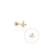Lloyd Happiness Three-Leaf Clover 10K Gold Piercing Lptq3002T