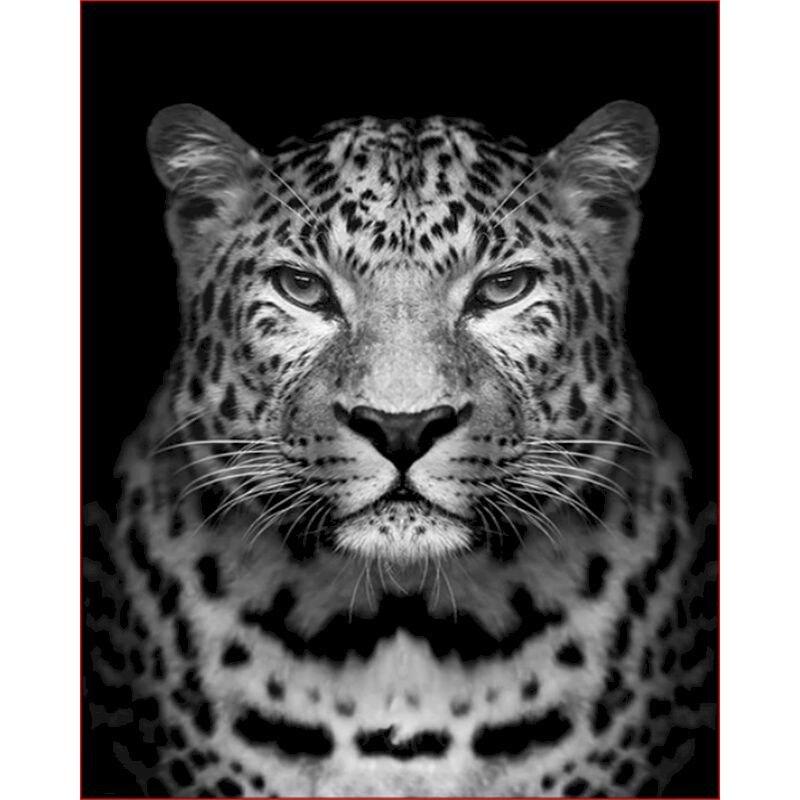 DIY Diamantmalerei Tiere Kreuzstich Voll Runde Bohrer Diamantstickerei Verkauf Heimdeko Geschenk