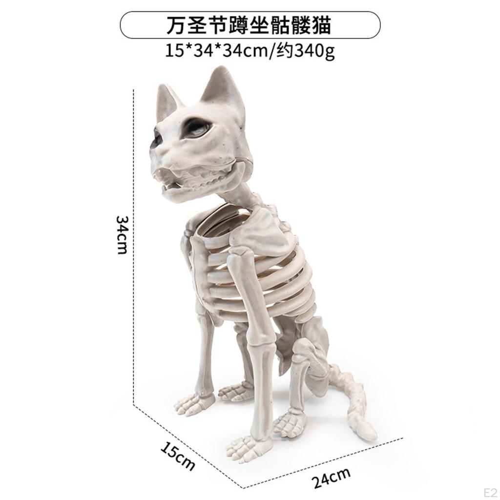 Sitting Cat Skeleton Halloween Decoration Animal Bone Prop Creepy for Educational Model Multipurpose