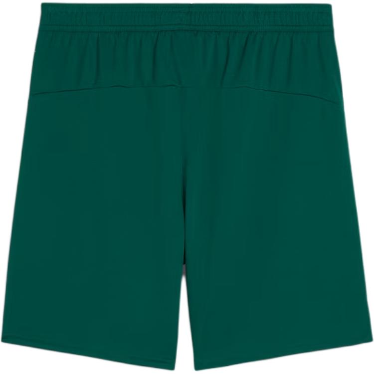 

Новые шорты PUMA x FPF DRYCELLSHORTS для футбола, мужские, зеленые 779226-10 M
