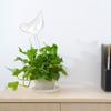Plant Watering Bulbs Glass Self Watering Stakes Water Globe for Garden Patio Flower Pot Hanging