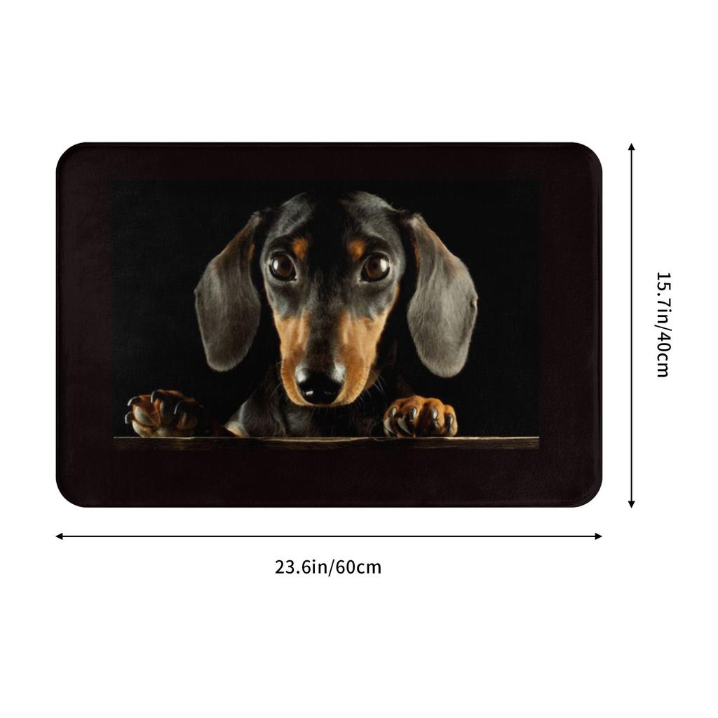 Cute Dachshund Dog Front Floor Door Entrance Mat Outdoor Puppy Pet Kitchen Bath Doormat Living Room Carpet Rug