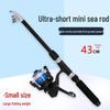 43cm Portable Mini Telescopic Lure Fishing Rod Set for Beginners