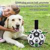 Interactive Dog Soccer Toy with A Grip Ring Durable Water Ball for Dogs Dog Chasing and Playing Toy Without Battery
