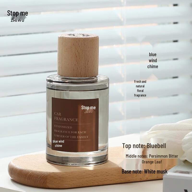 Zhiwu Light Luxury Car Diffuser